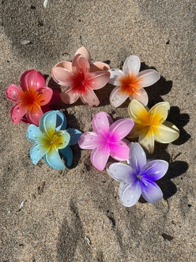 Flower Hair Clips Set