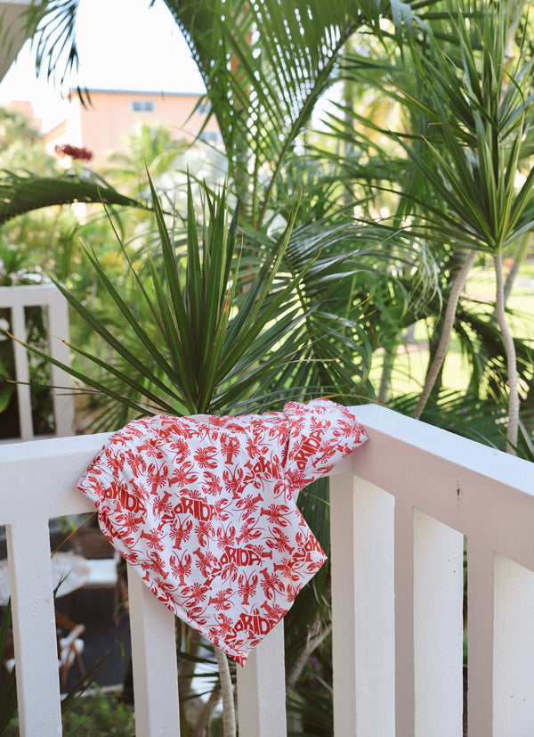 Florida • Men's Swim Trunks