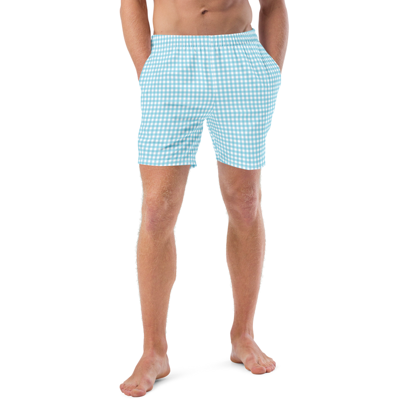 Seafoam Gingham • Men's Swim Trunks